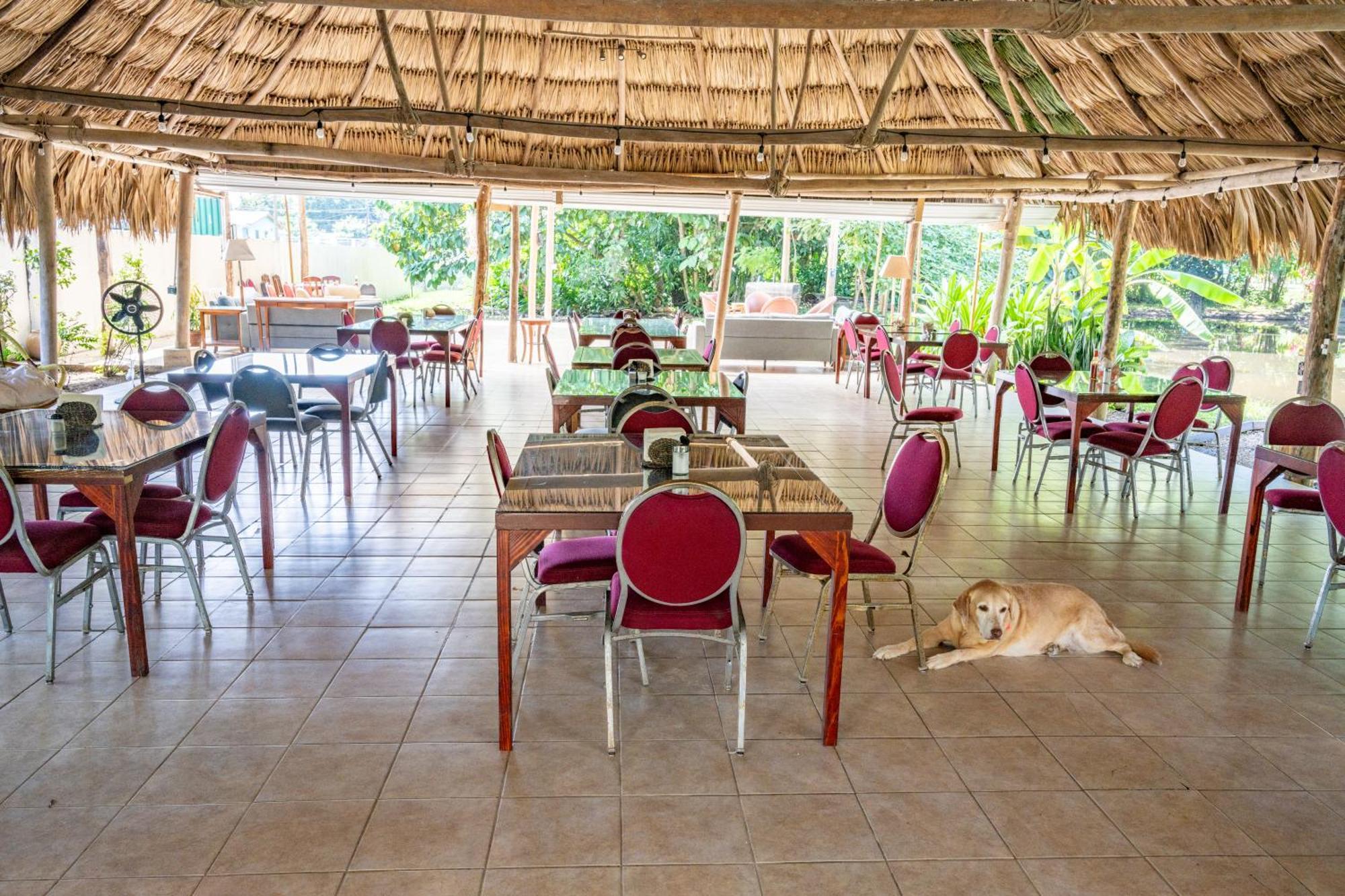 Drift Inn Cayo Santa Elena Eksteriør billede